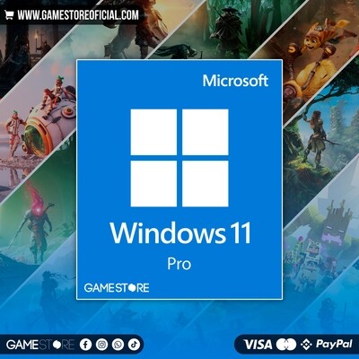 Windows 11 Professional