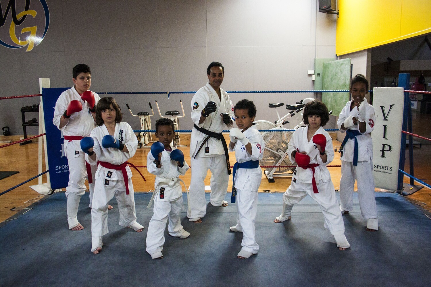 Learn Karate Term 2