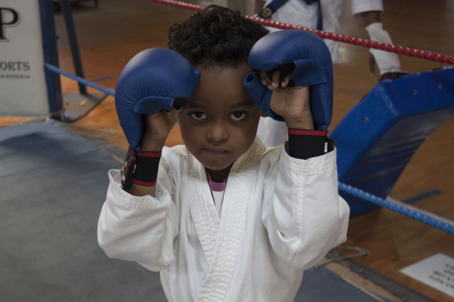 Karate Mits