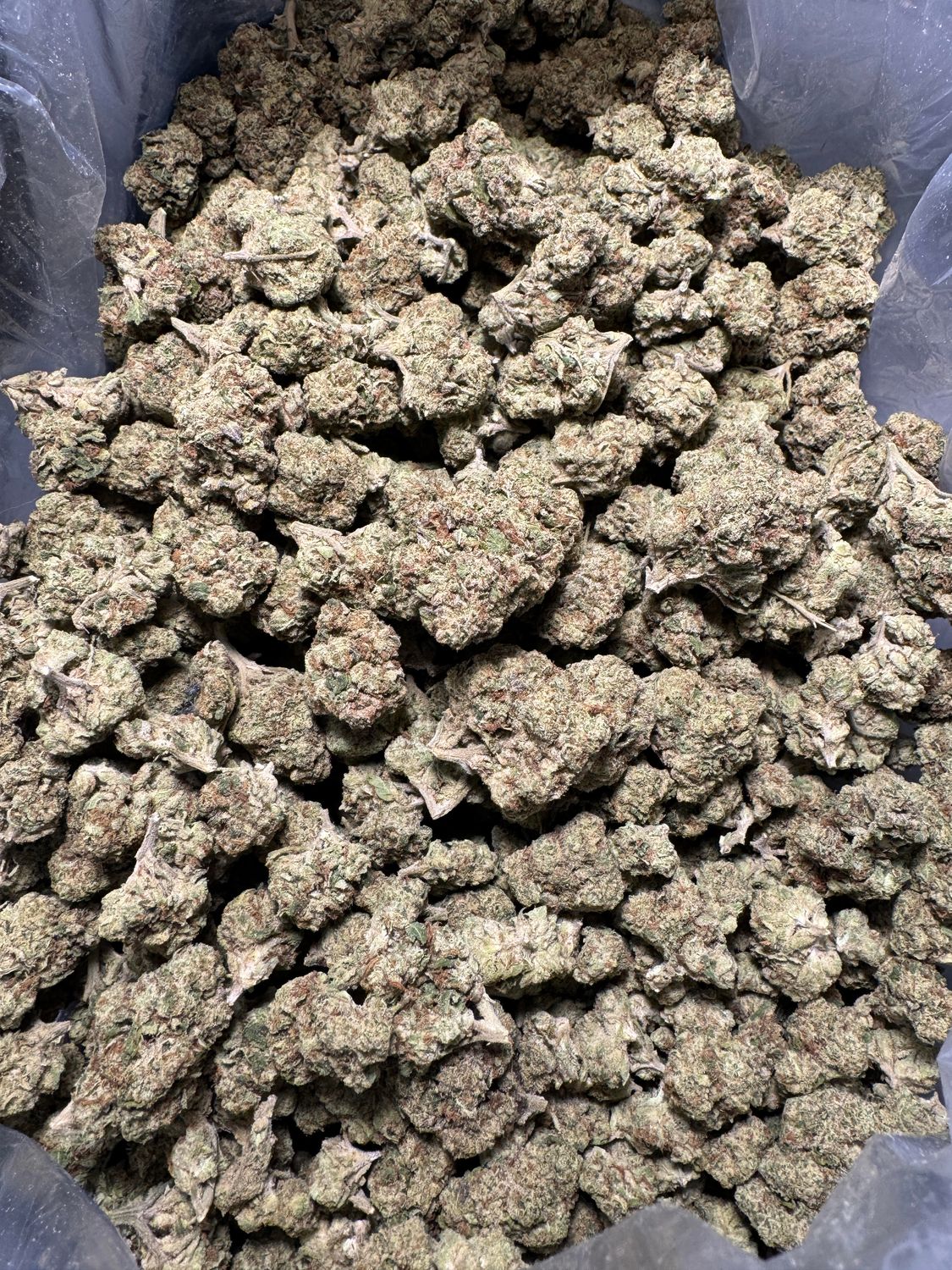"Bulk THC-A flower (1 lb), premium high-quality cannabis with potent THC-A content, rich terpene profile, and therapeutic effects. Perfect for wholesale, large-scale use, or bulk cannabis purchases.