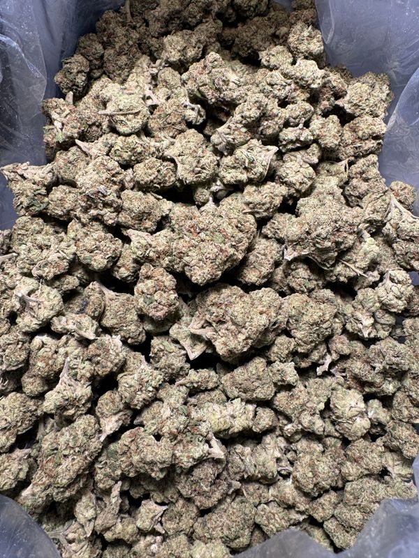 "Bulk THC-A flower (1 lb), premium high-quality cannabis with potent THC-A content, rich terpene profile, and therapeutic effects. Perfect for wholesale, large-scale use, or bulk cannabis purchases.