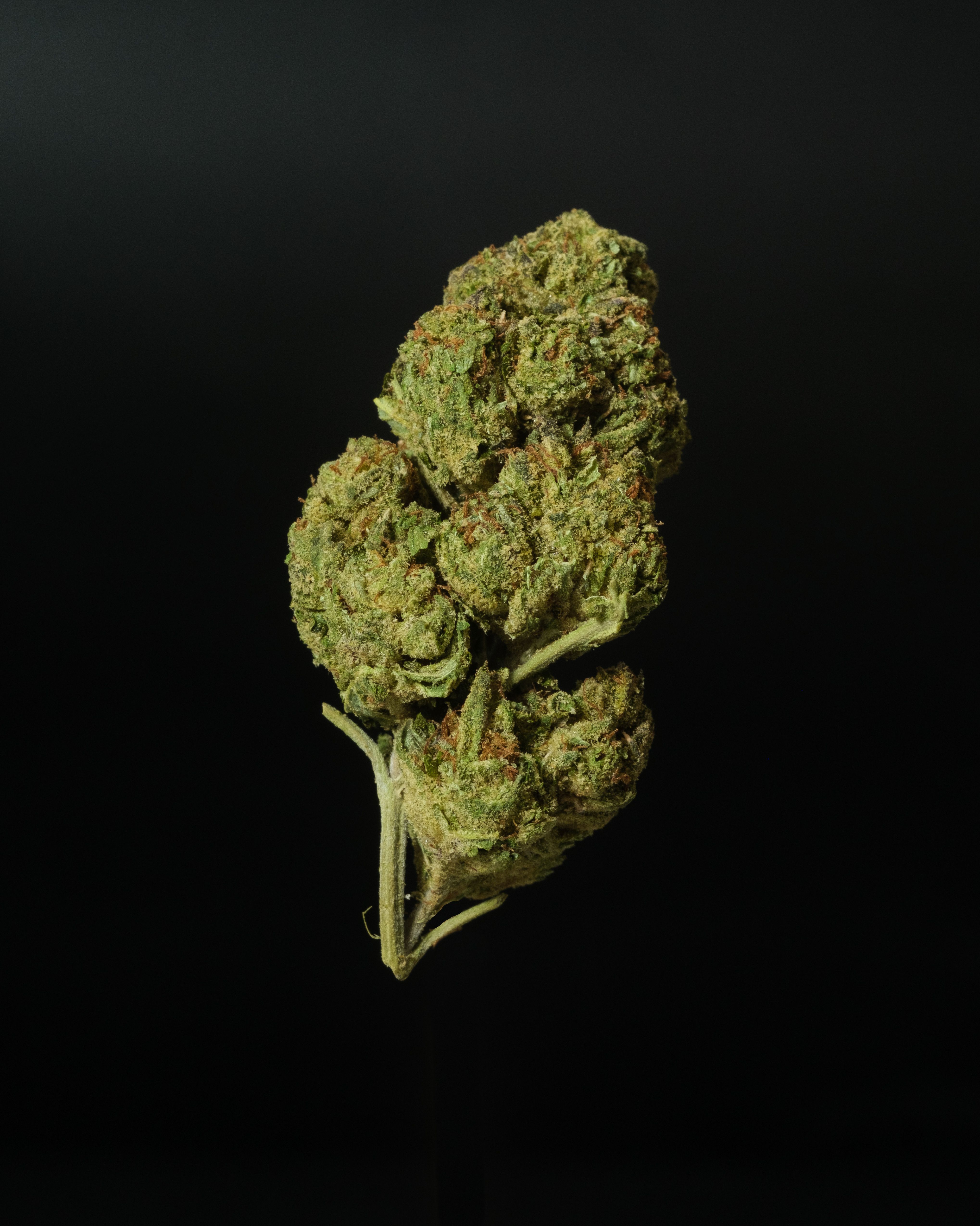 Grade A Flower (THC-a)