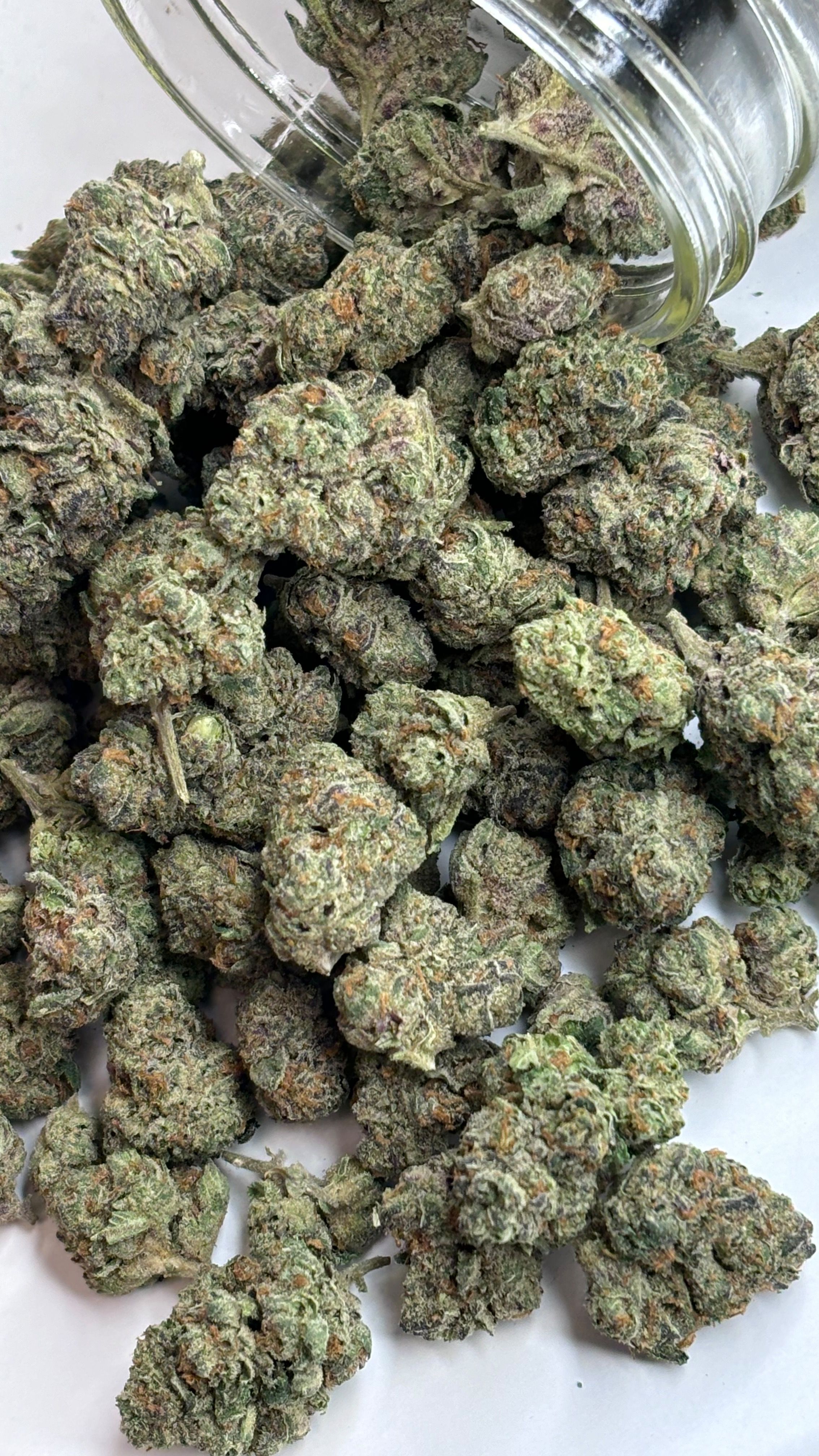 Exotic Flower (THC-a)