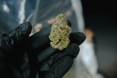 Exotic Flower (THC-a)