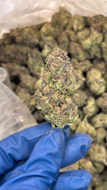 Grade A Flower (THC-a)