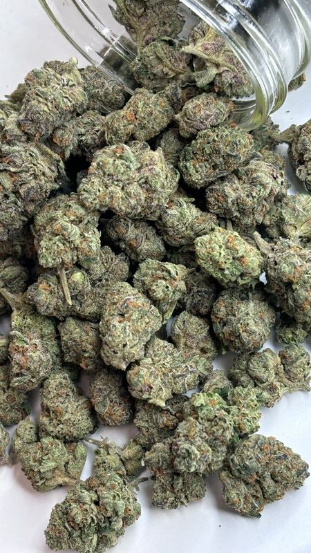 Bulk THCa Flower Pounds – Premium Wholesale Cannabis