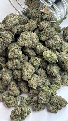 Bulk THCa Flower Pounds – Premium Wholesale Cannabis