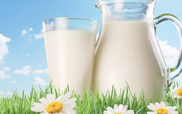 Skim Milk - For Pets Skim Milk - For Pets