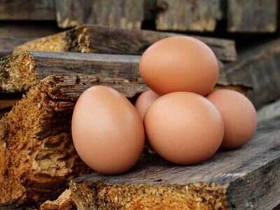 Pastured Egg Subscription