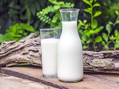 Raw Milk Subscription