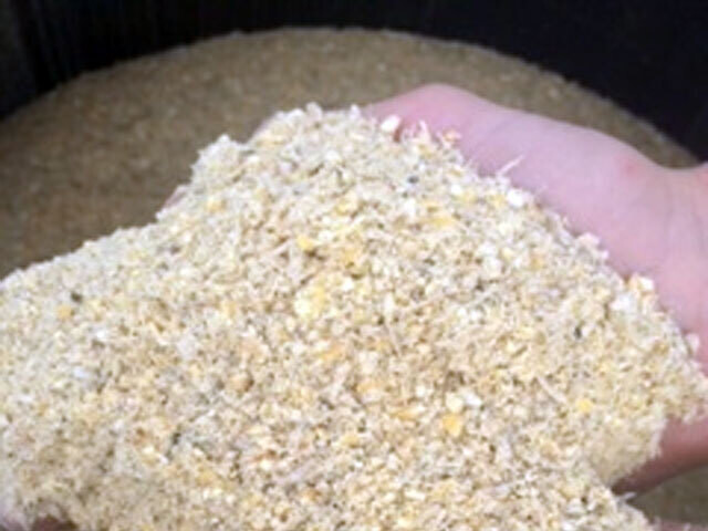 Non-GMO Multispecies Feed BULK/BARRELS Non-GMO Multispecies Feed BULK/BARRELS