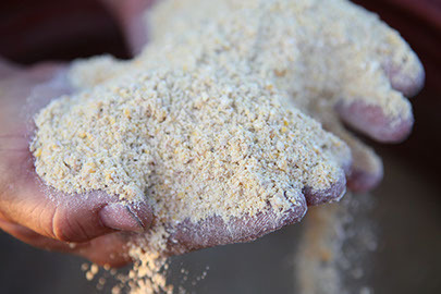 Non-GMO Chick Starter/Broiler Feed Non-GMO Chick Starter/Broiler Feed