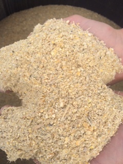 Non-GMO Multispecies Feed Non-GMO Multispecies Feed
