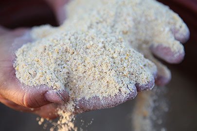 Non-GMO Swine/Pig Feed Non-GMO Swine/Pig Feed