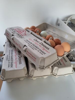 Autumn Egg Special - 5 dozen Autumn Egg Special - 5 dozen