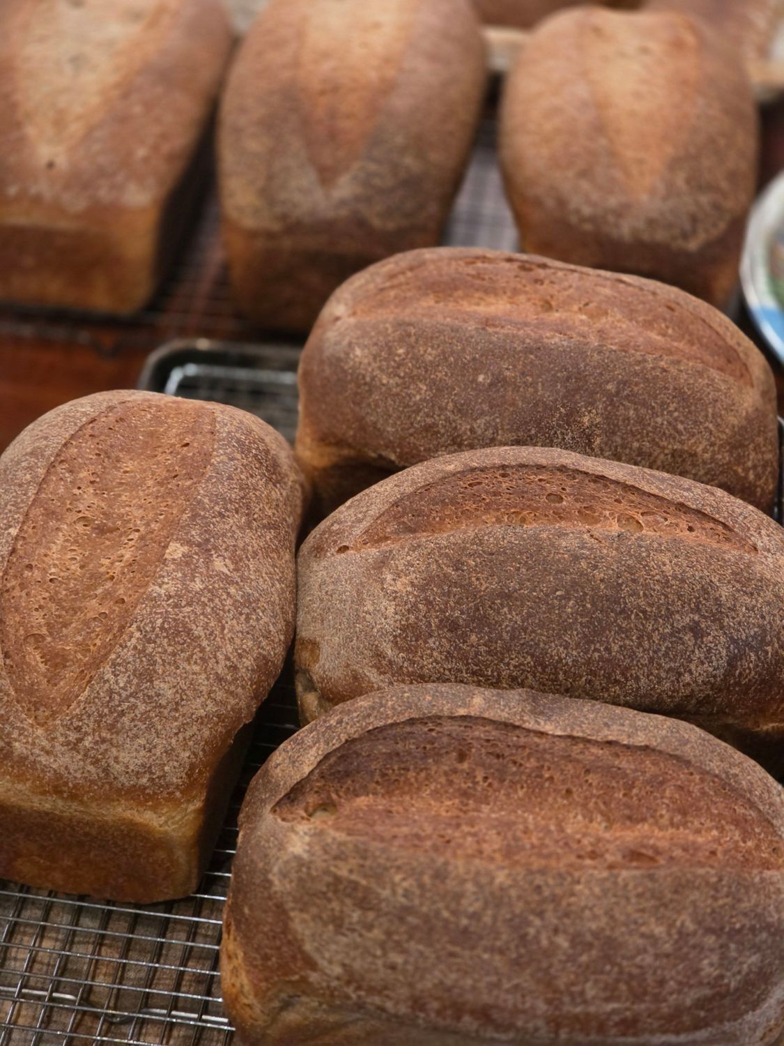 Warm, rustic Sourdough Bread loaves, long fermented, showcasing dark crusts on cooling racks. Freshly baked artisan bread.