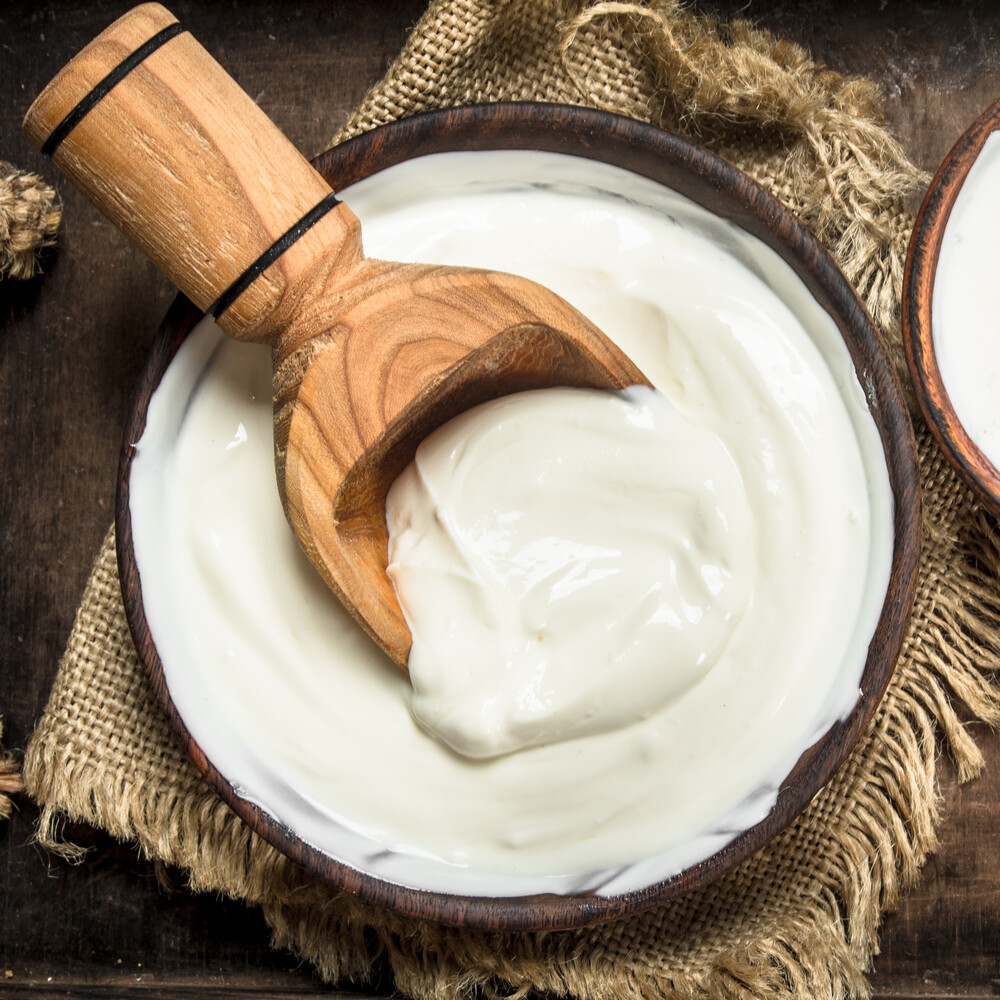 Yogurt For Pets- 32 oz