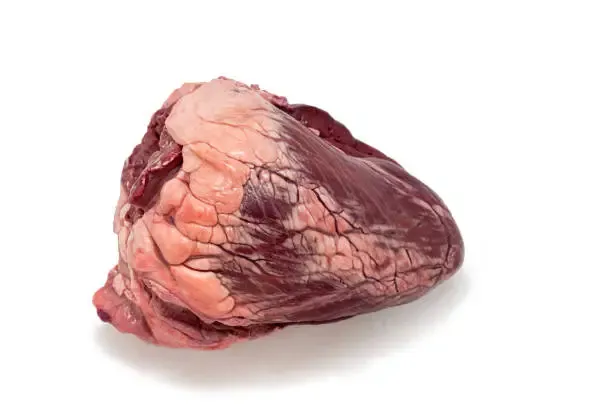 Beef Heart, Whole