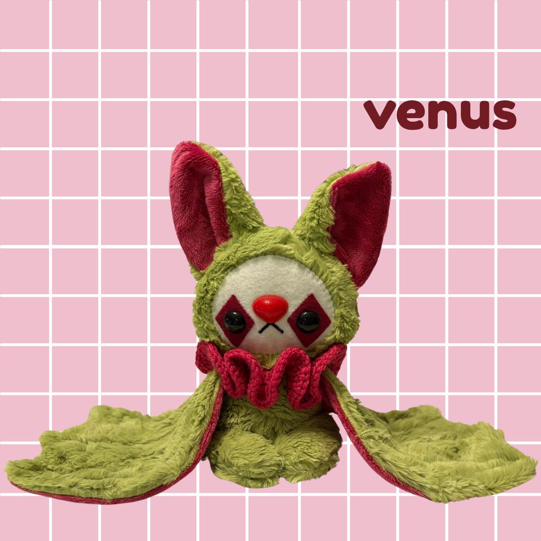 Venus the Clown Bat