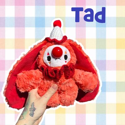 Tad the Clown Bun