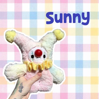 Sunny the Jester