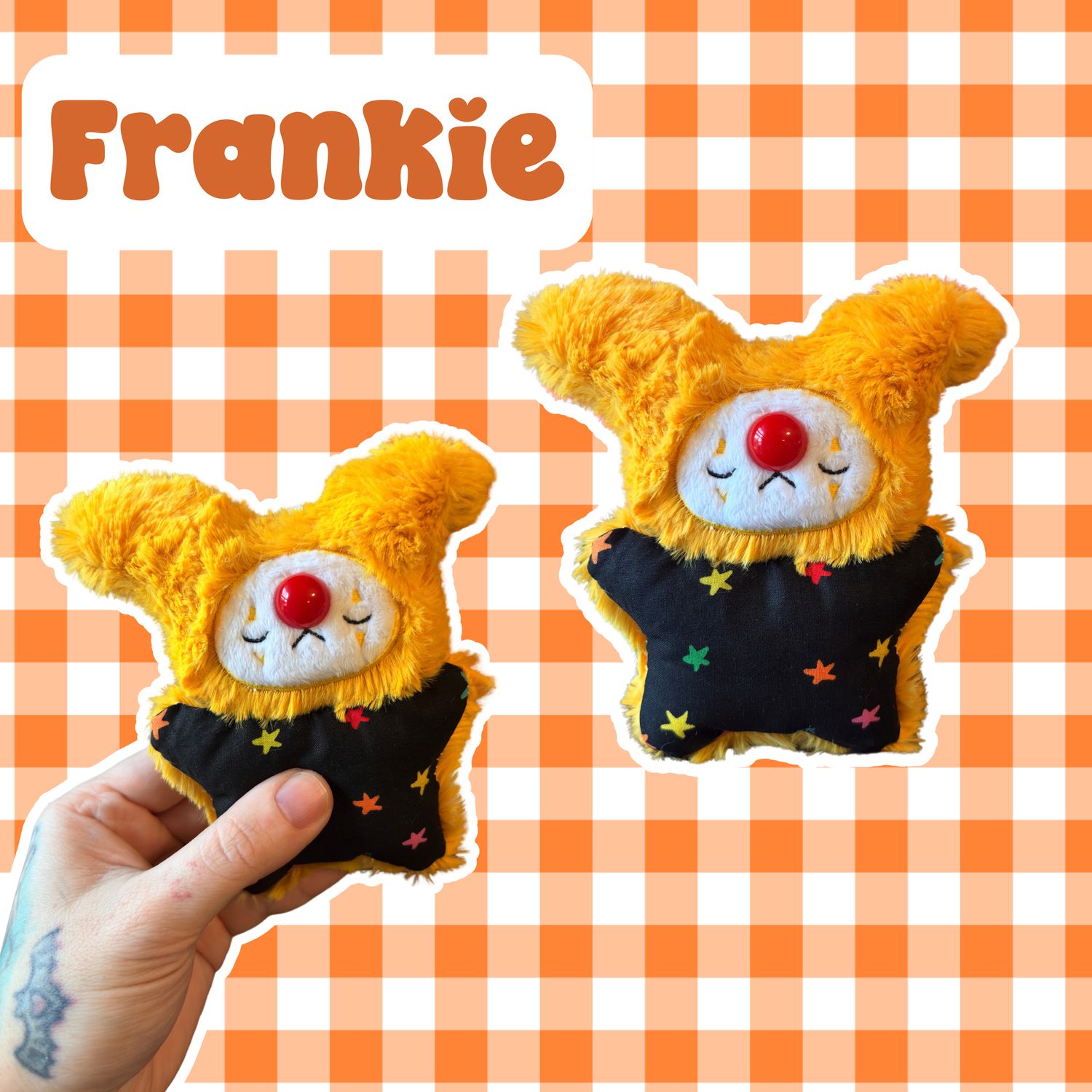 Frankie the Beanie Sensory Plush Pal