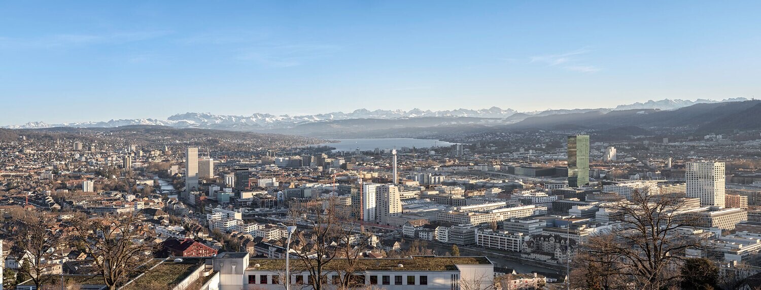 Zürich von der Waid Panorama Tag 120x42x2cm
