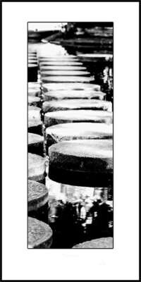 Standard/FineArtPrints 100x50cm