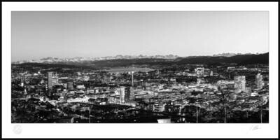 Zürich von der Waid 100x50x2cm s/w