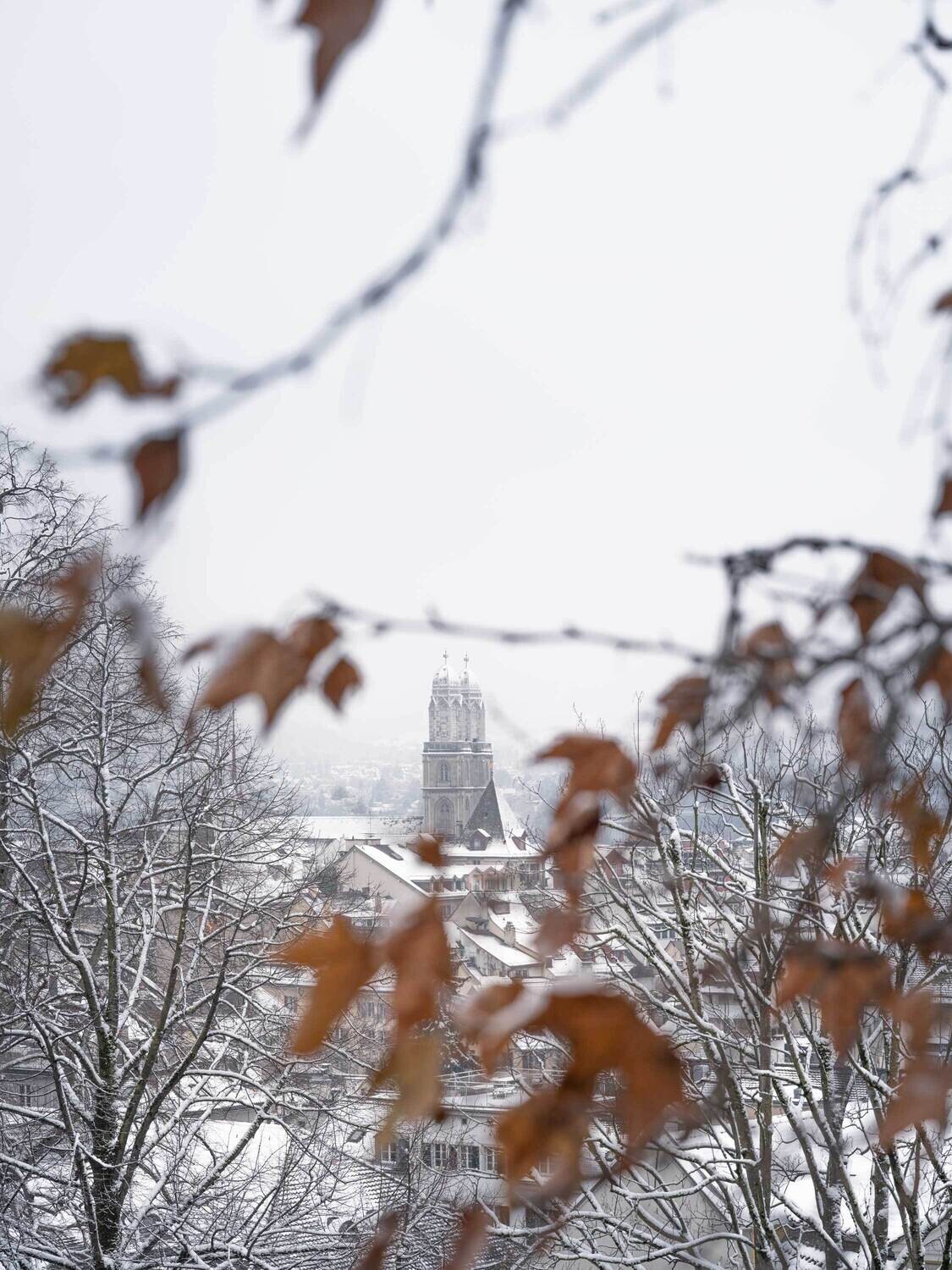 Weihnachtskarte "Grossmünster im Winterkleid"