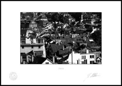 Dächer über Zürich