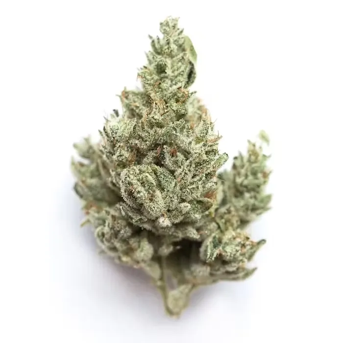 Thai | Gold Ounce