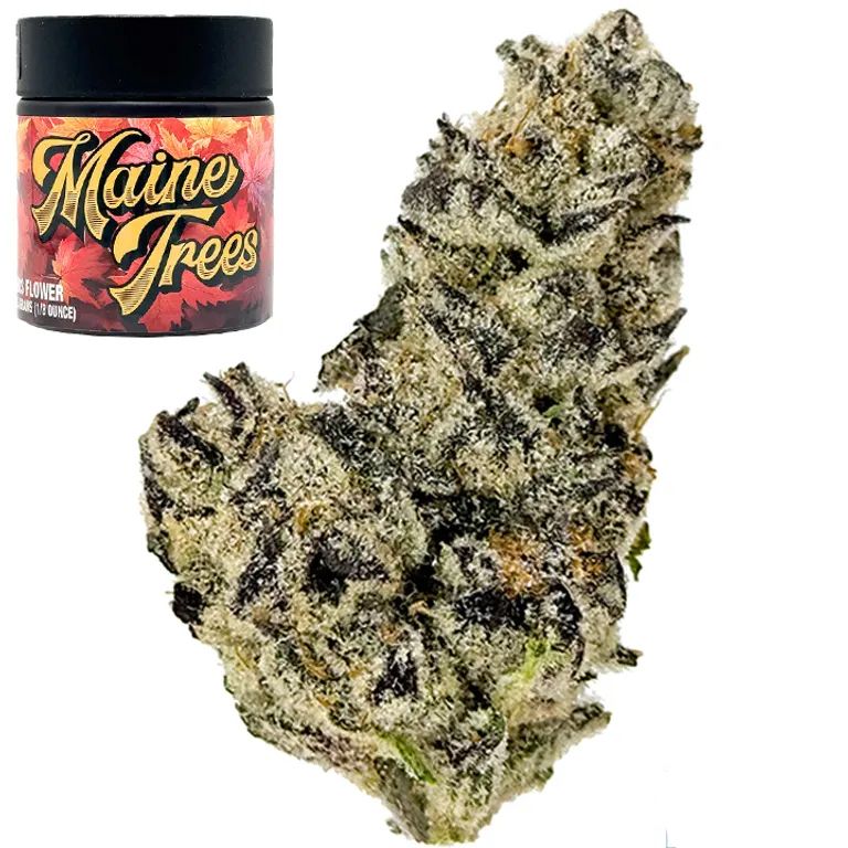 Maine Treez | Lobster OG | Indica Hybrid | Diamond 8th