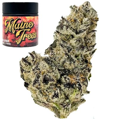 Maine Treez | Lobster OG | Indica Hybrid | Diamond 8th