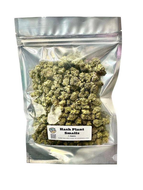 Hash Plant in Family Za's NYC Weed Delivery Ounce Packaging
