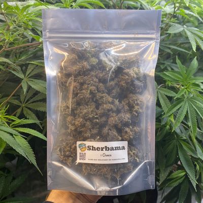 Sherbama | Indica-Hybrid | Diamond Ounce Special