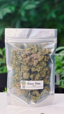 Lemon Haze | Sativa-Hybrid | $120 Gold Ounce Special Lemon Haze | Sativa-Hybrid | $120 Gold Ounce Special