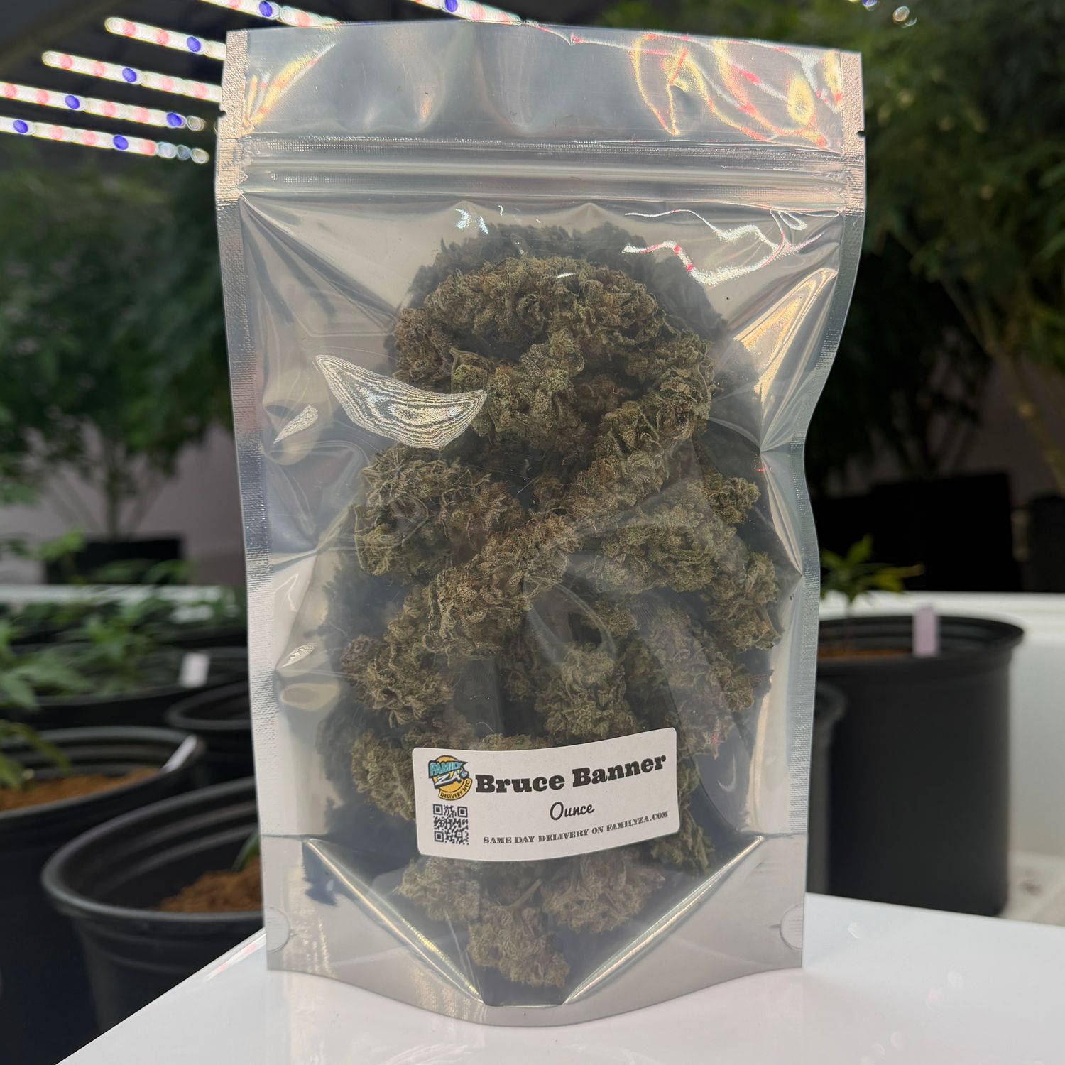 Bruce Banner | Hybrid | Gold Ounce Special