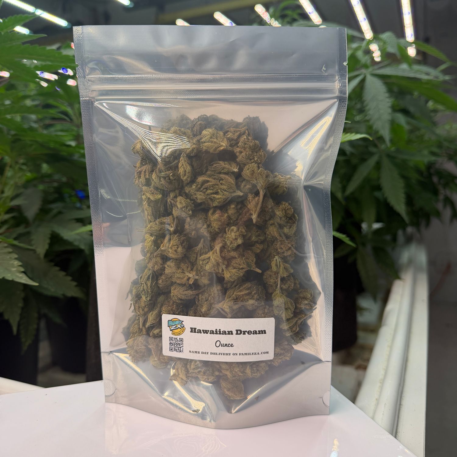 Hawaiian Dream | Hybrid | Silver Ounce