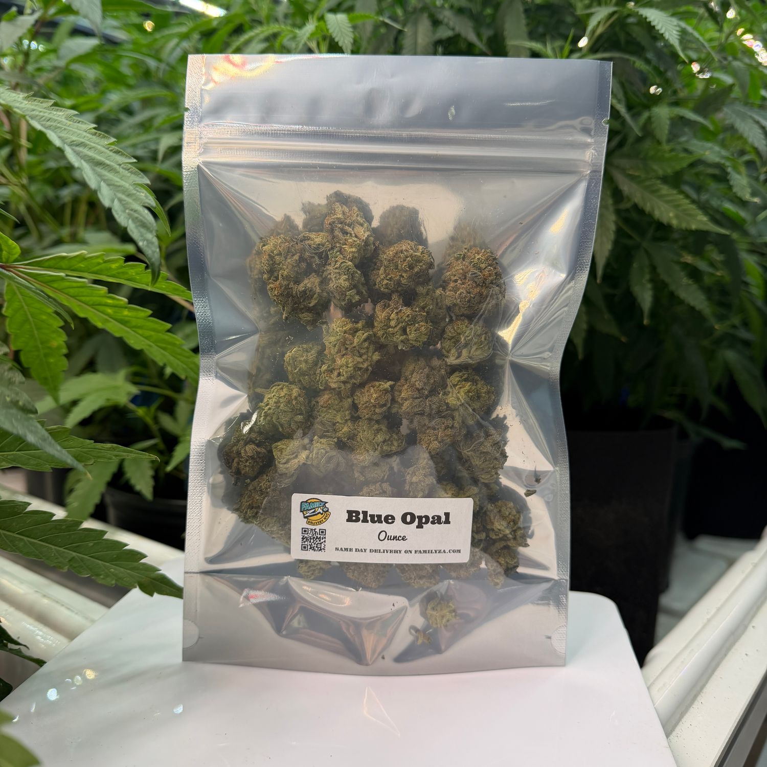 Blue Opal | Hybrid | Silver $120 Ounce