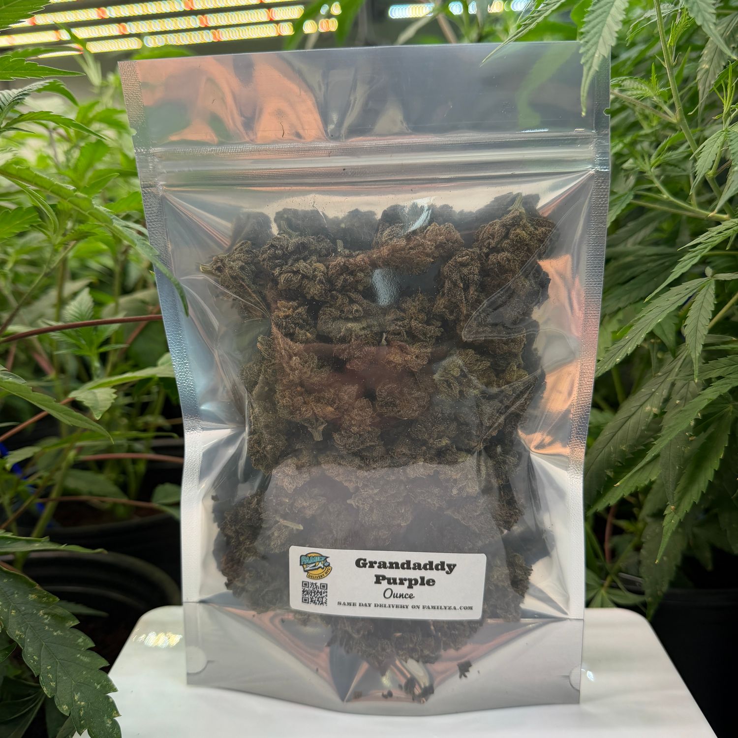 Granddaddy Purple | Indica| Gold Ounce