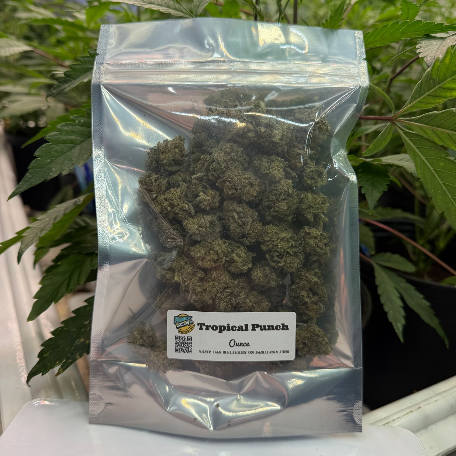 Tropical Punch | Sativa-Hybrid | Gold Ounce