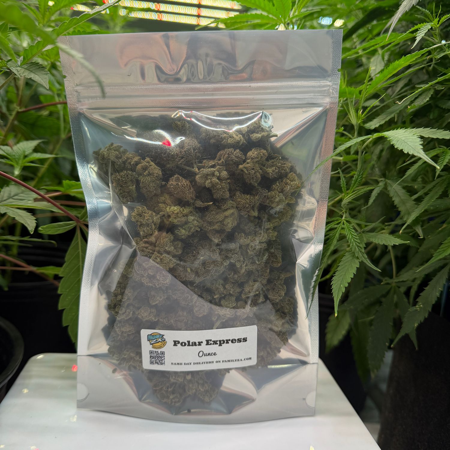 Polar Express | Indica-Hybrid | Gold Ounce Special