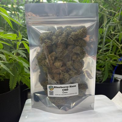 Blueberry Haze CBD | Hybrid | Silver Ounce