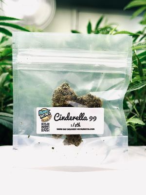 Cinderella 99 | Sativa-Hybrid | Silver 8th