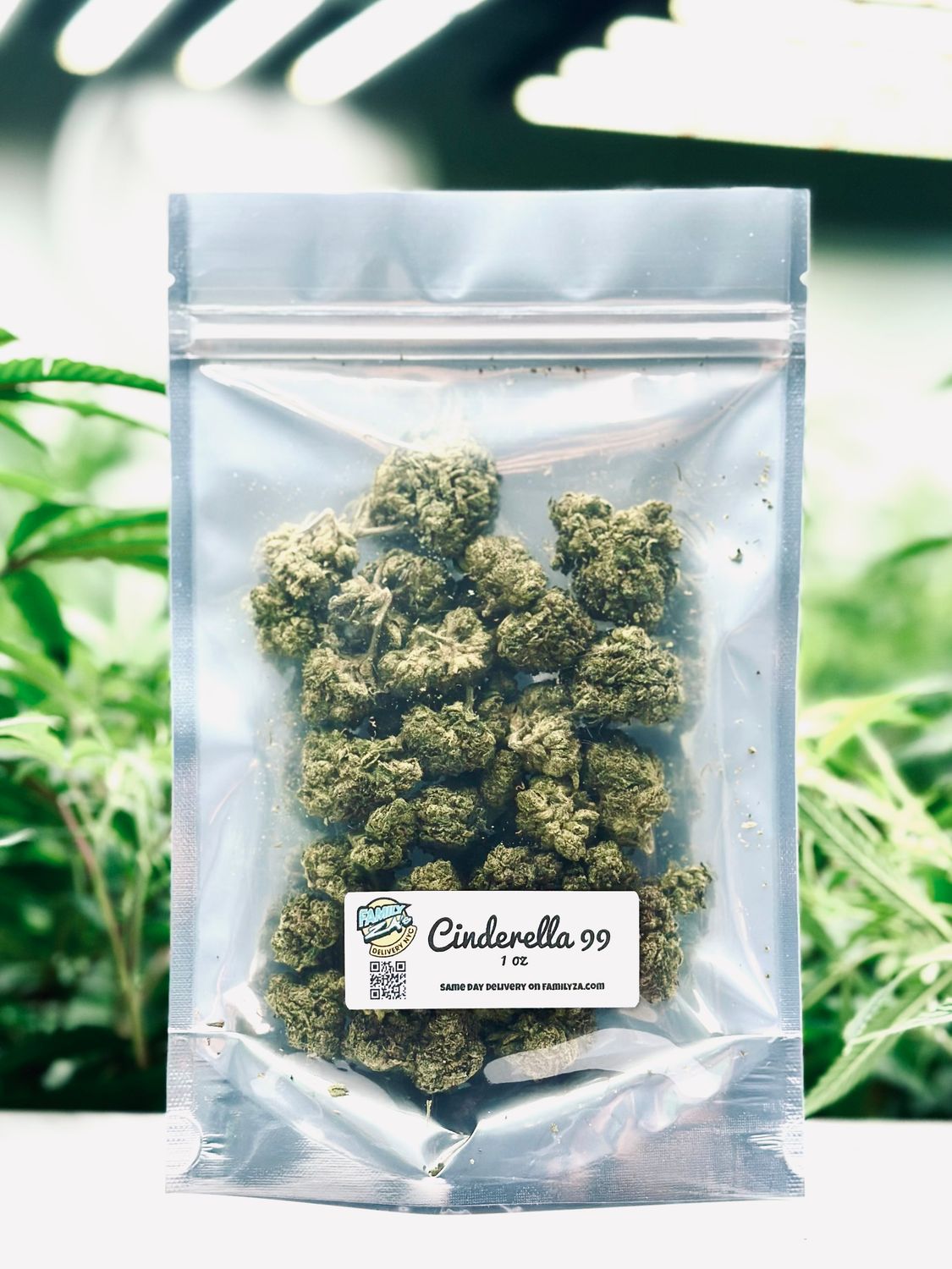 Cinderella 99 | Sativa-Hybrid | Silver Ounce
