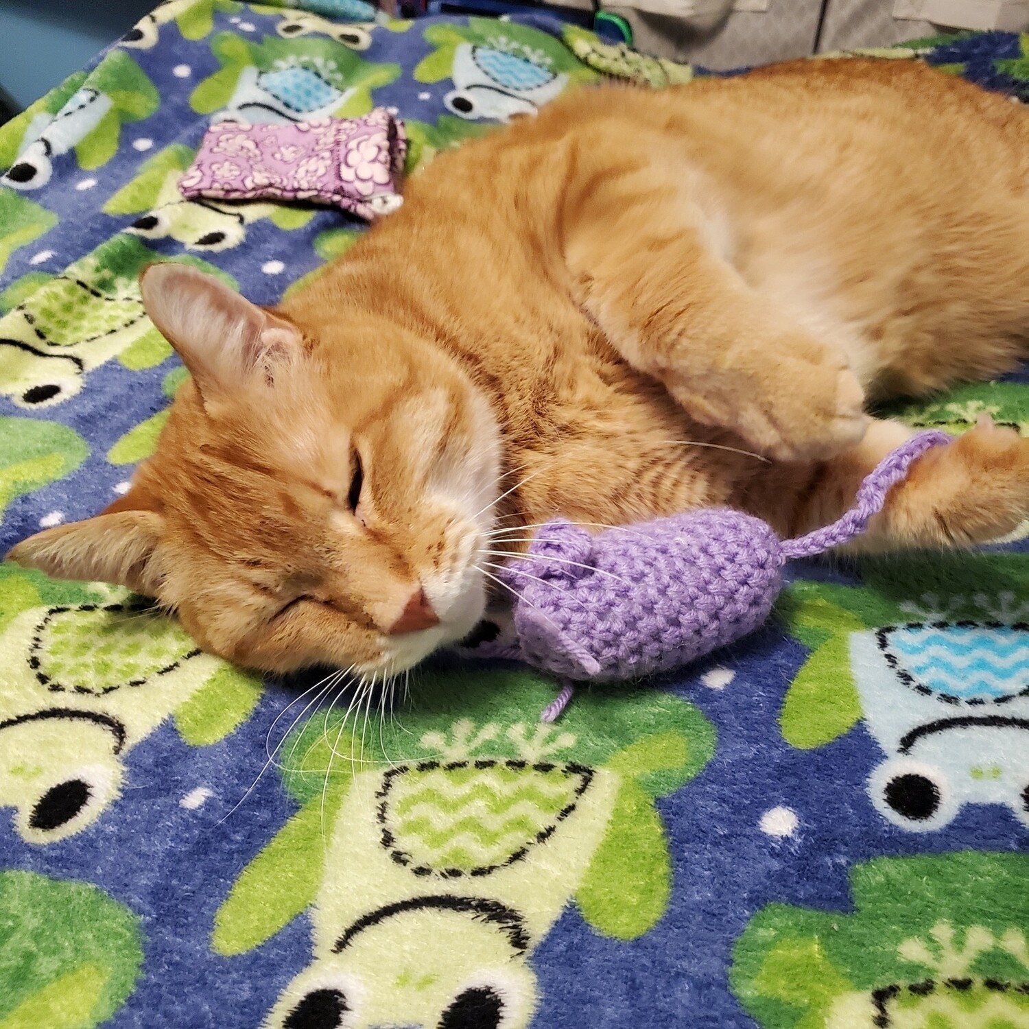 Mouse Cat Toy