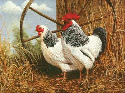 Country Living