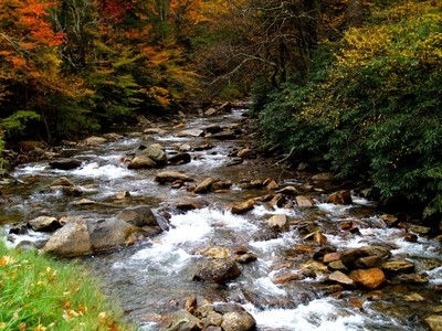 Stream in Smoky Mtn NP