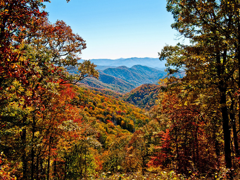 Smoky Mtns in Fall